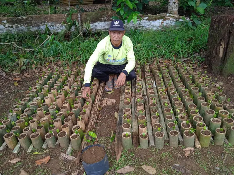 GEMA RATU