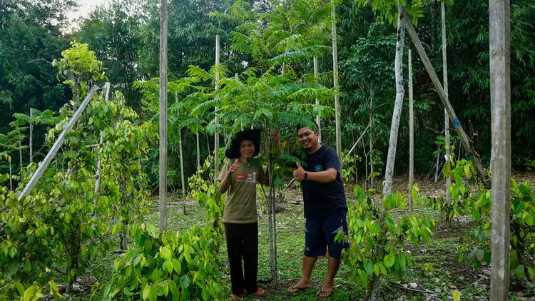Asem Jaya Lestari